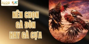 Nên Chọn Gà Đòn Hay Gà Cựa | Phân Tích Chuẩn Cho Bạn Lựa Chọn
